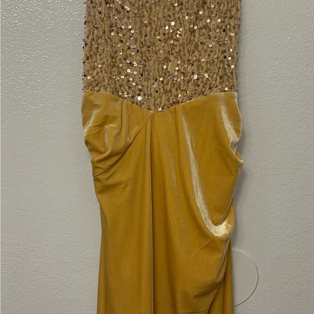 Gold Sequin and Velvet Dress
